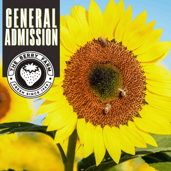 General Admission to The Berry Farm with a close-up of a sunflower and bees, promoting outdoor family fun in Miami