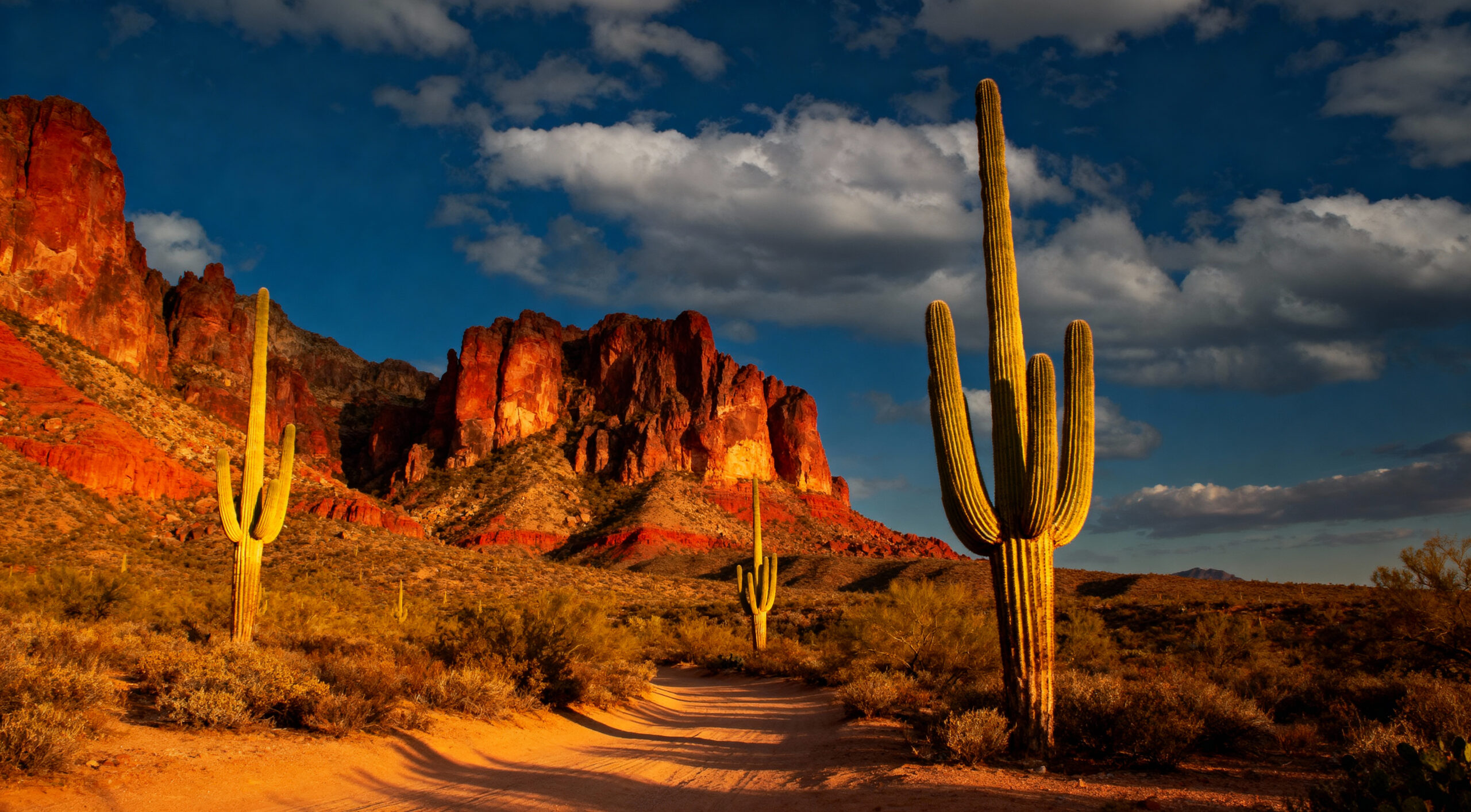 Arizona travel deals and Grand Canyon tours